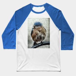 Eastern Bluebird Baseball T-Shirt
